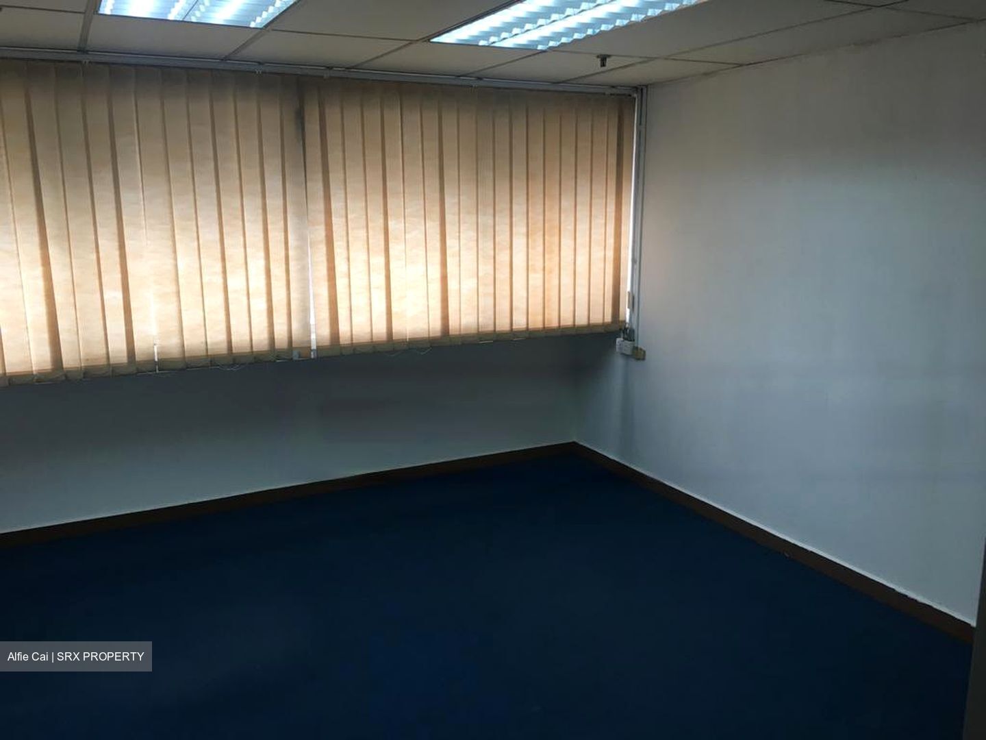 People's Park Centre (D1), Office #540858551